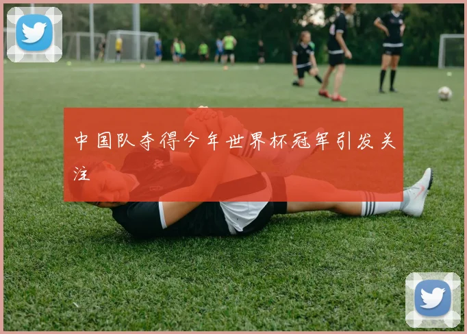 中国队夺得今年世界杯冠军引发关注
