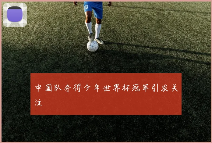 中国队夺得今年世界杯冠军引发关注