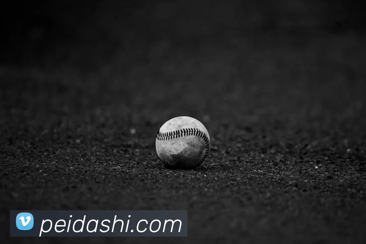 kaiyun入口APP 封面图