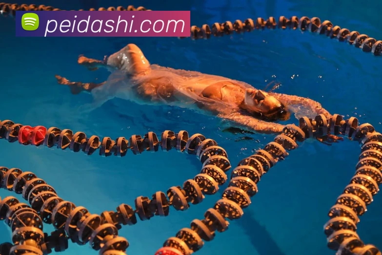 数据防护可视化